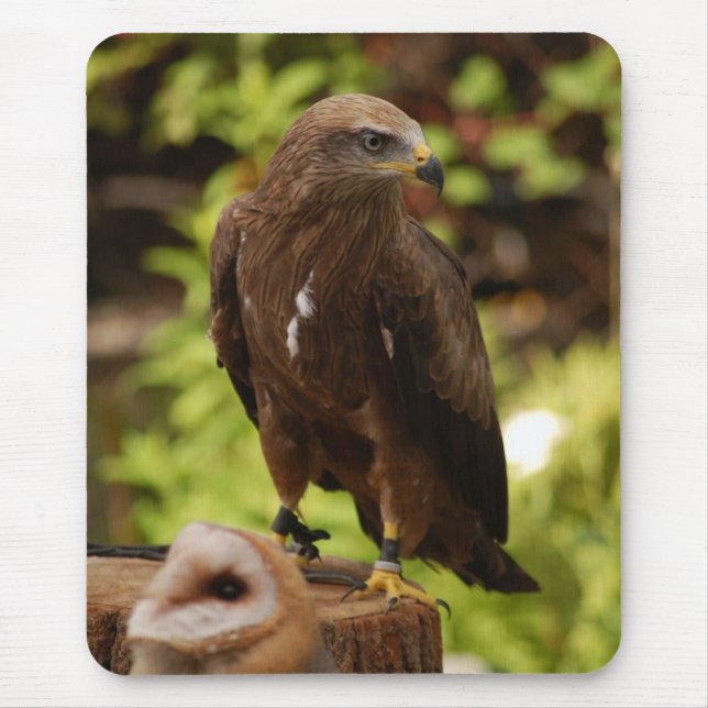 Mousepad Aves de rapina (Frente)