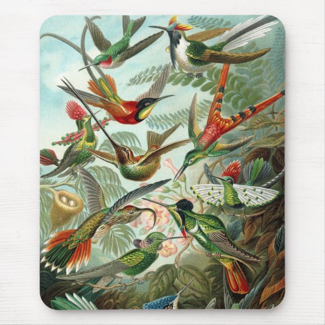 Mousepad Aves Haeckel (Frente)