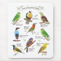 Aves nativas das Filipinas