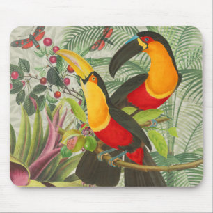 Mousepad Aves Tropicais Vibrantes Turianos Arte Selva Exóti