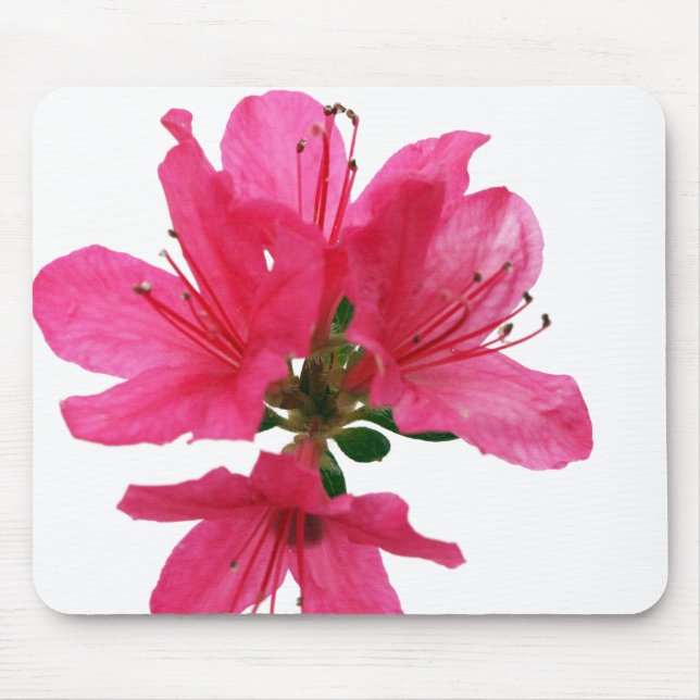 Mousepad Azalea (Frente)