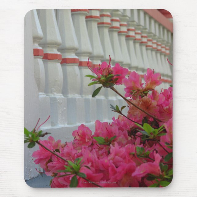 Mousepad Azaleas cor-de-rosa - Martha's Vineyard (Frente)