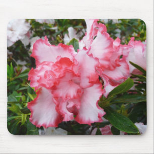 Mousepad Azaleas Primavera Floral, Vermelhas Duplas e Branc