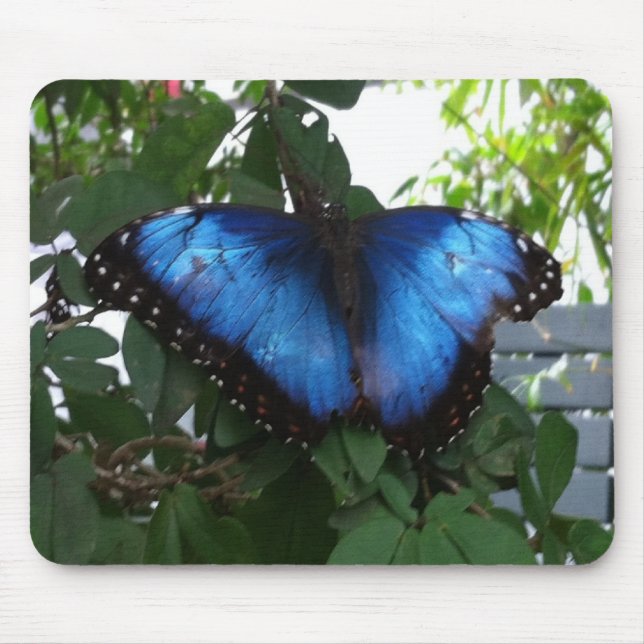 MOUSEPAD AZUL BUTTERLY (Frente)