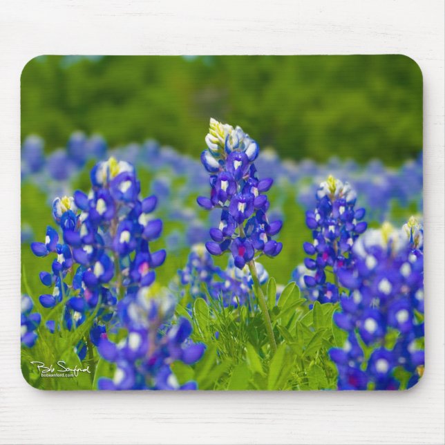 Mousepad azul das capotas de Texas (Frente)