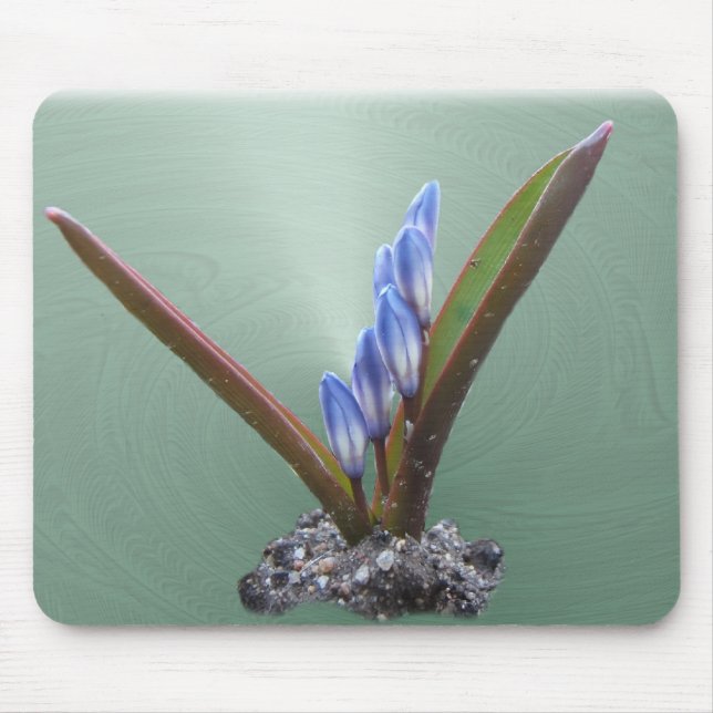 Mousepad azul do ~ do redemoinho do primavera (Frente)