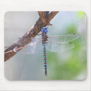 Mousepad Azul - Dragonfly Darner