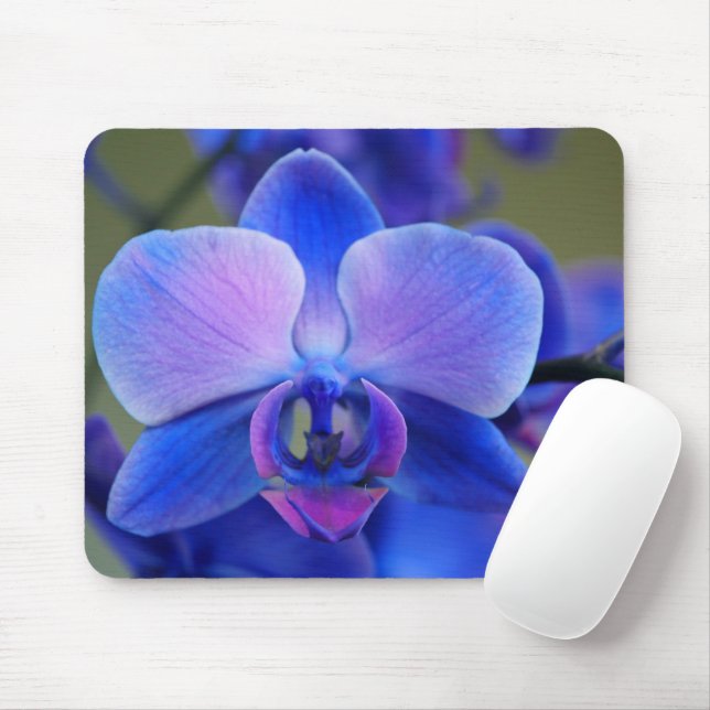 Mousepad Azul e Rosa Suaves (Com mouse)
