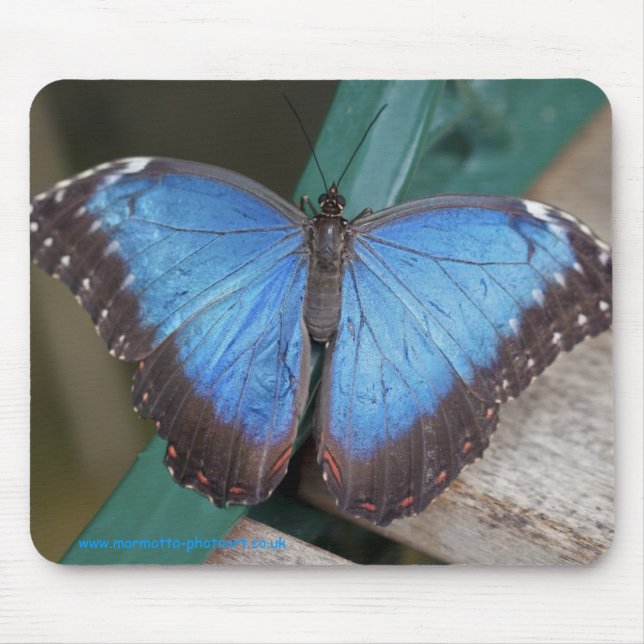 Mousepad Azul Elétrico (Frente)