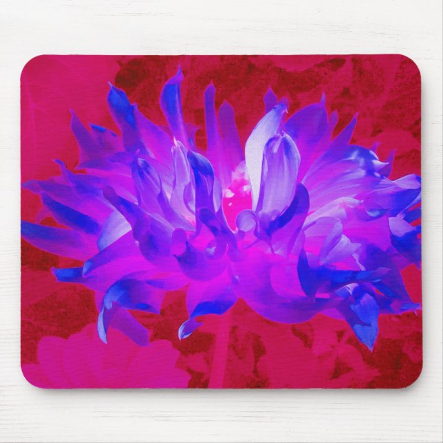 Mousepad Azul violeta assombroso e Cactus rosa-quente Dahli (Frente)