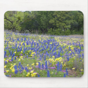 Mousepad Azulbonetes, prímula e flox
