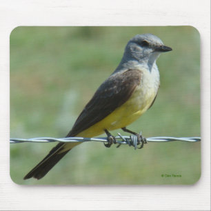 Mousepad B31 Papa-Figoscuro-ocidental