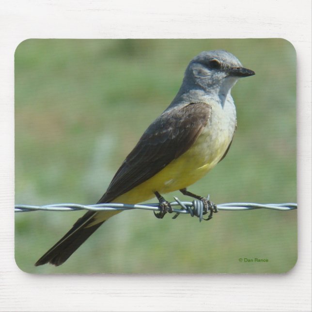 Mousepad B31 Papa-Figoscuro-ocidental (Frente)