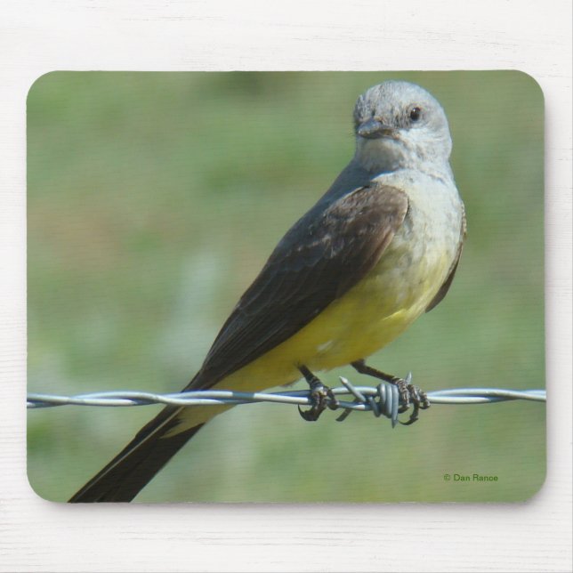 Mousepad B32 Papa-Figuras-Ocidental (Frente)