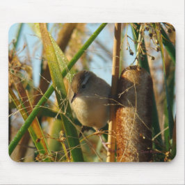 Mousepad B3 Marsh Wren
