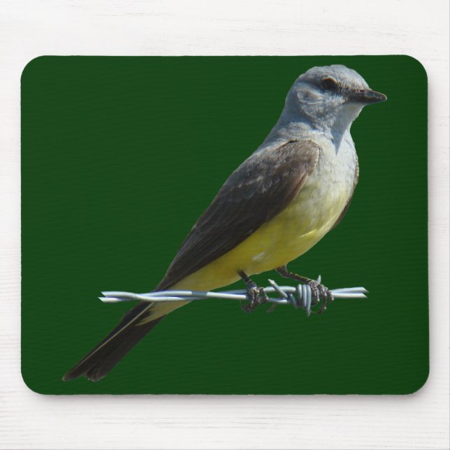 Mousepad B45 Western Kingbird (Frente)