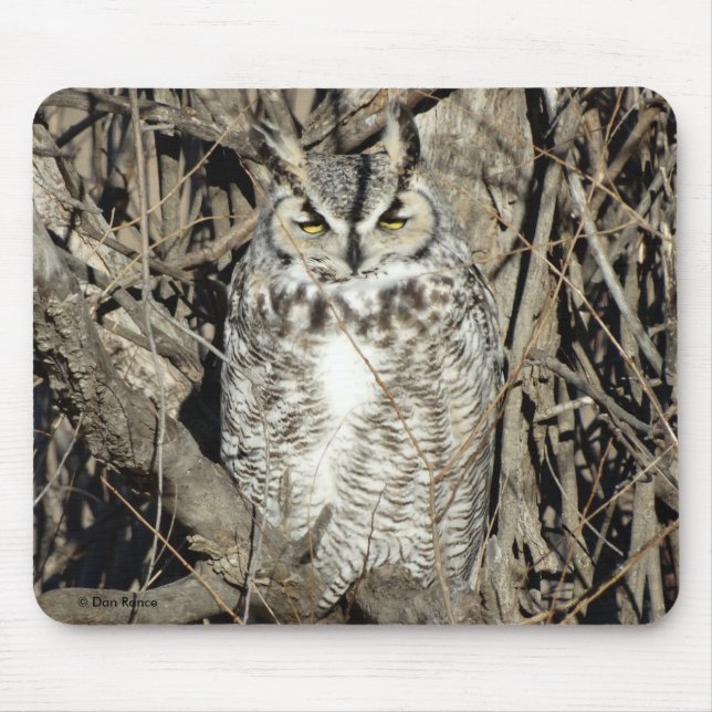 Mousepad B51 Coruja Buraqueira (Frente)