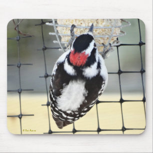 Mousepad B53 Pica-Pau