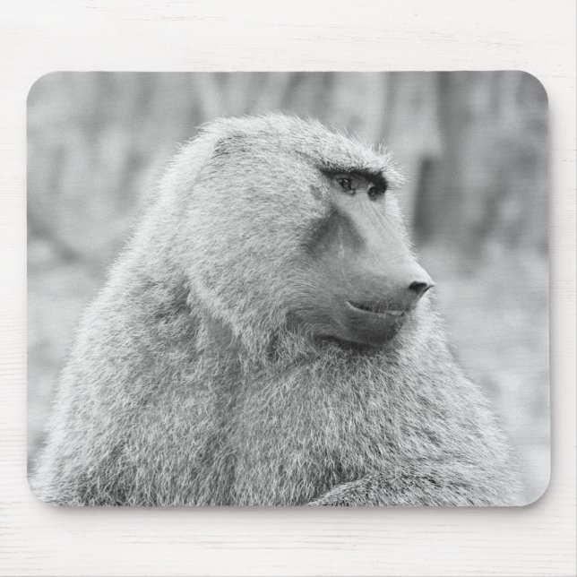 Mousepad babuíno africano (Frente)