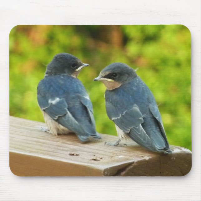 Mousepad Baby Barn Swallow Nature Bird Foto (Frente)