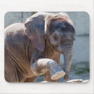 Mousepad Baby Elephant
