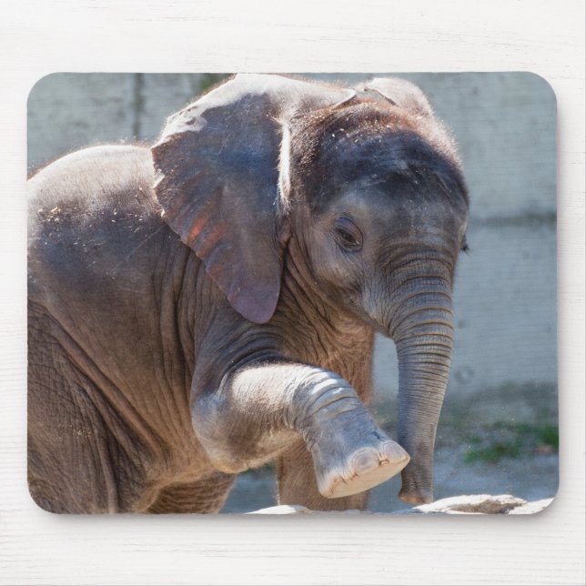 Mousepad Baby Elephant (Frente)