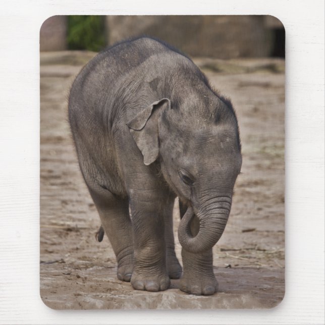 Mousepad Baby Elephant Mousemat (Frente)