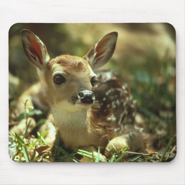 Mousepad Baby Fawn (Frente)