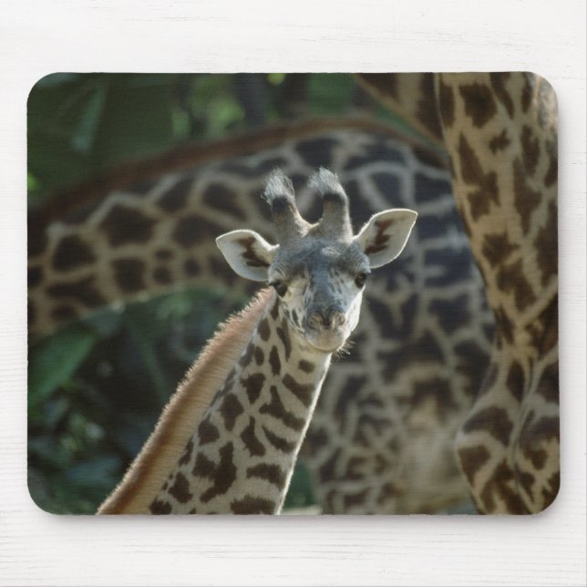 Mousepad Baby Giraffe (Frente)