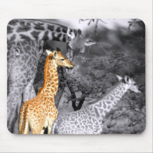 Mousepad Baby Giraffe