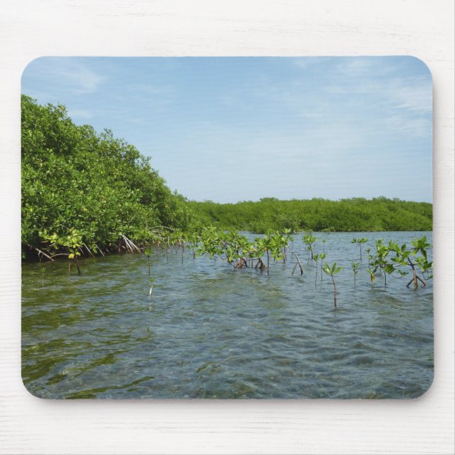 Mousepad Baby Mangrove Trees no Caribe (Frente)