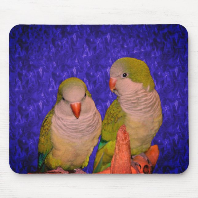 Mousepad Baby Quaker Parrots Animal (Frente)