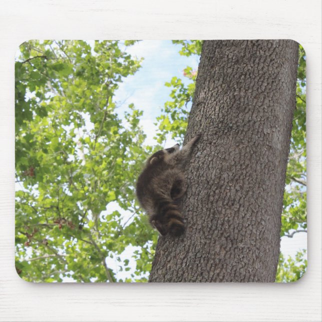 Mousepad Baby Raccoon (Frente)