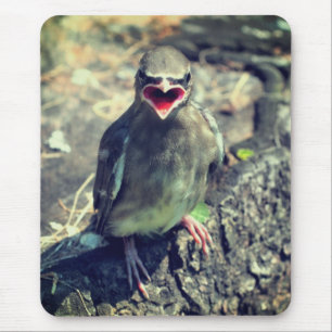 Mousepad Baby Waxwing Frazões Natureza das aves