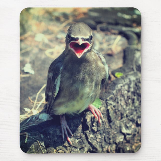 Mousepad Baby Waxwing Frazões Natureza das aves (Frente)