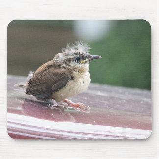 Mousepad Baby Wren Hair Model
