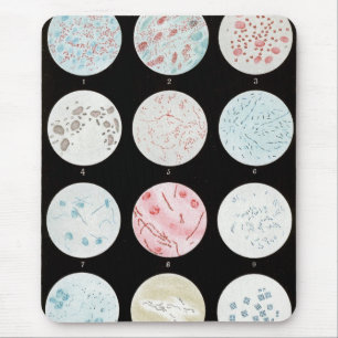 Mousepad Bactérias