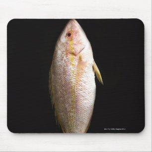 Mousepad Badejo inteiro