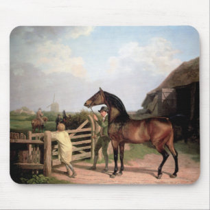 Mousepad Baía Ascham ~ um garanhão dirige através de um por