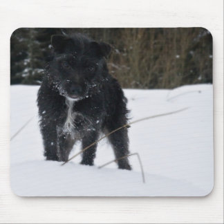 Mousepad Bailey o Patterdale Terrier