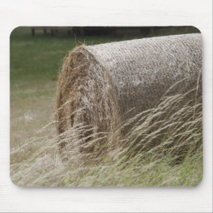 Mousepad Balas de couro