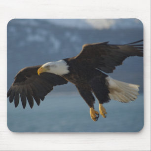 Mousepad Bald Eagle