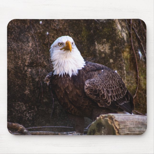 Mousepad Bald Eagle (Frente)
