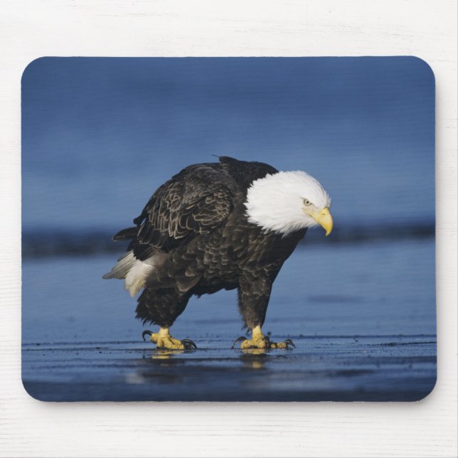 Mousepad Bald Eagle (Frente)