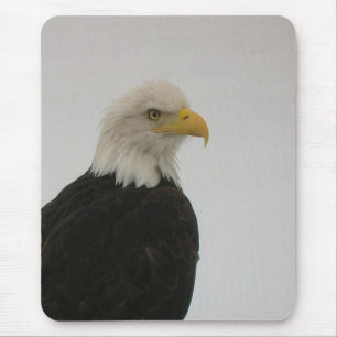 Mousepad Bald Eagle