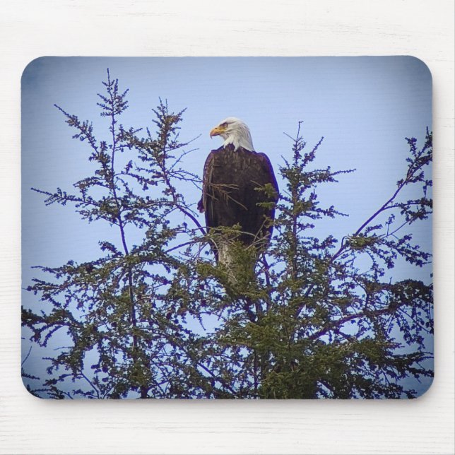 Mousepad Bald Eagle (Frente)
