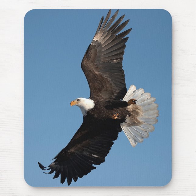 Mousepad Bald Eagle em Voo (Frente)