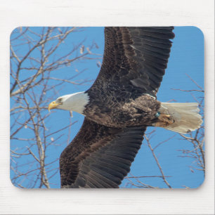 Mousepad Bald Eagle em voo