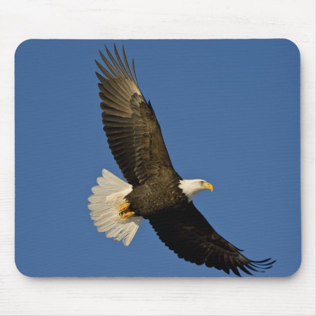 Mousepad Bald Eagle, Haliaeetus leucocephalus, Homer, (Frente)