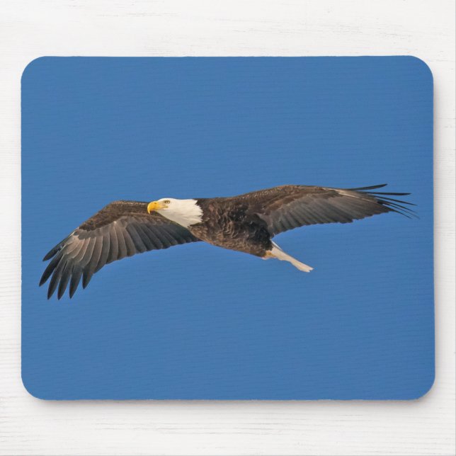 Mousepad Bald Eagle Sky High (Frente)